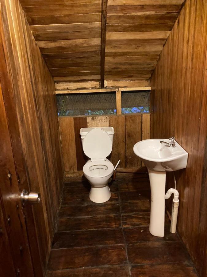 Guest House Great Hostels Amazon Puyo Exterior foto