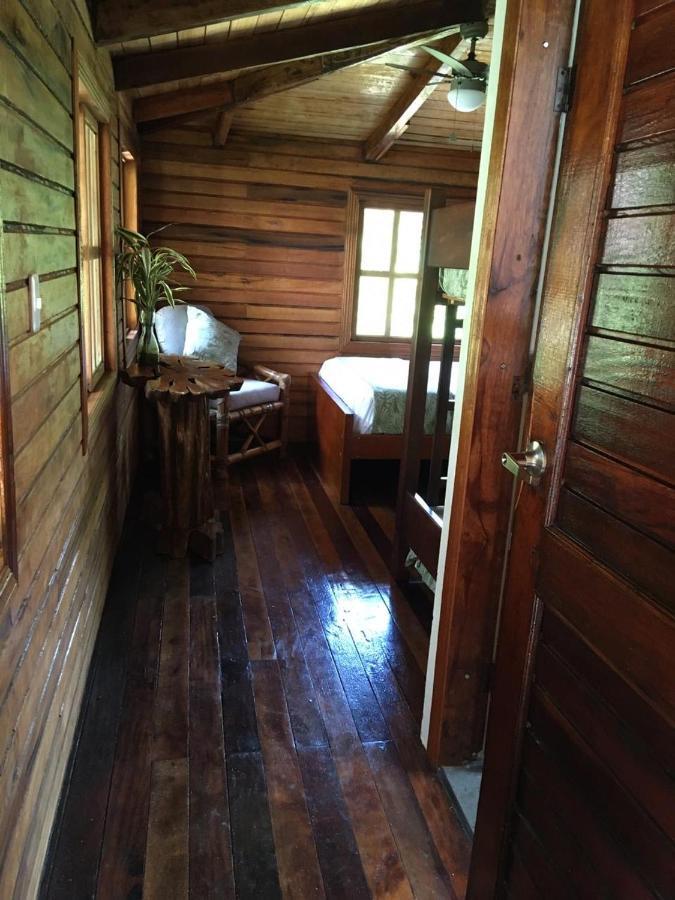 Guest House Great Hostels Amazon Puyo Exterior foto