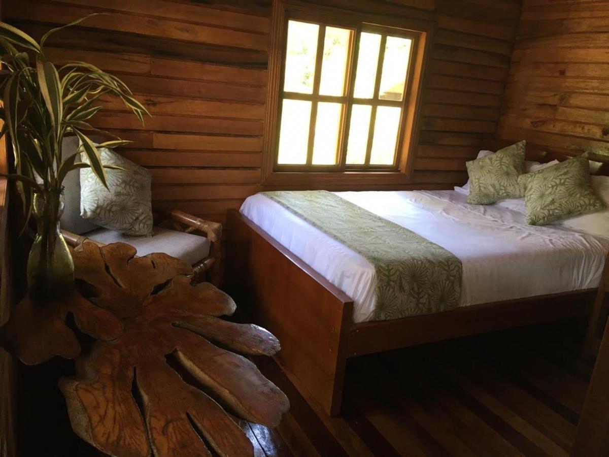 Guest House Great Hostels Amazon Puyo Exterior foto