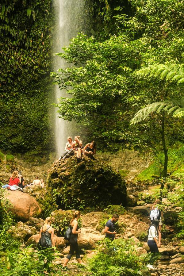 Guest House Great Hostels Amazon Puyo Exterior foto
